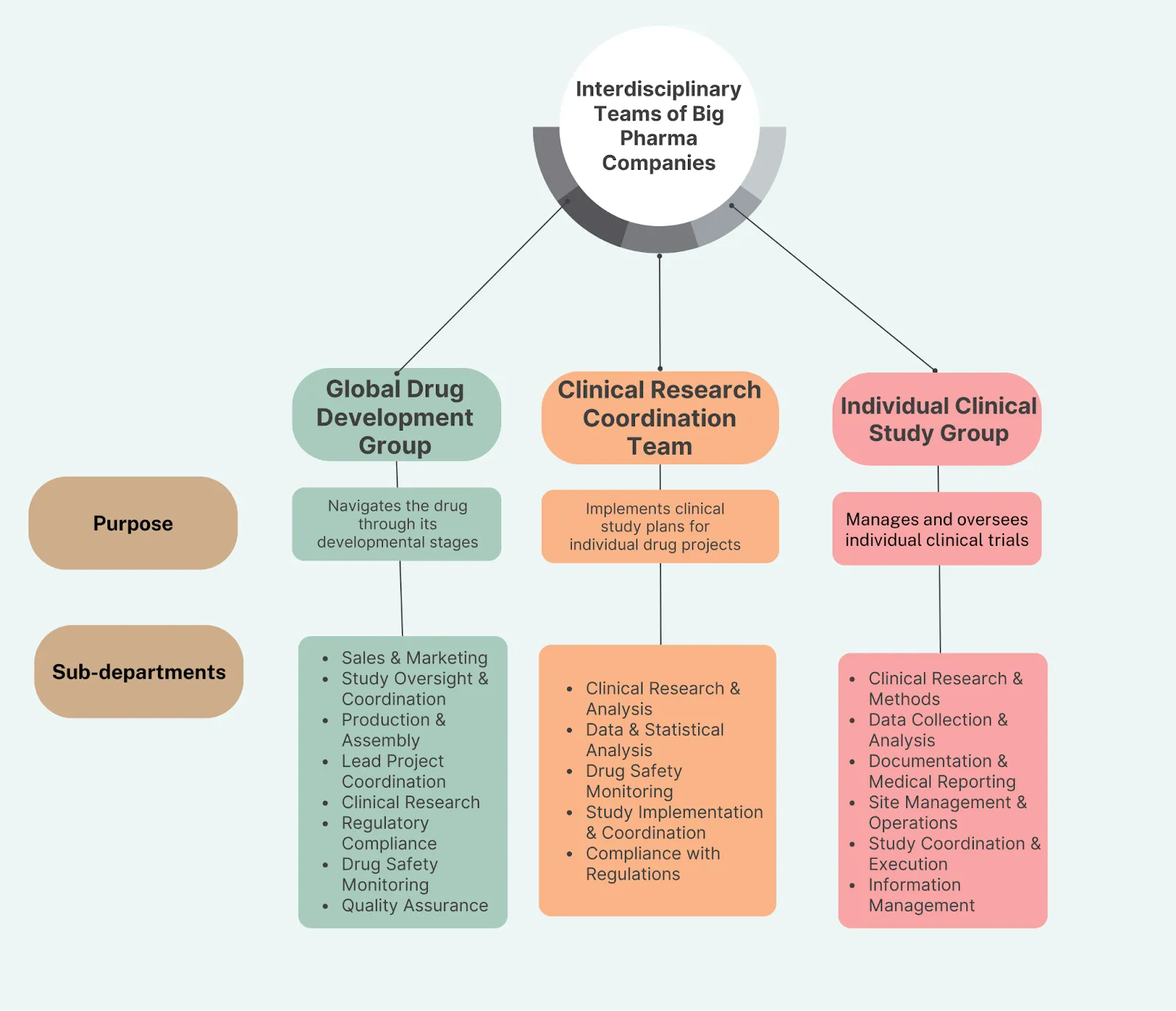 Interdisciplinary clinical teams of big pharma companies.